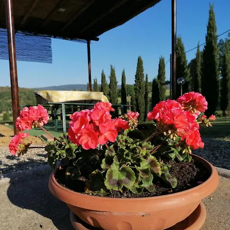 San Fedele Alloggi